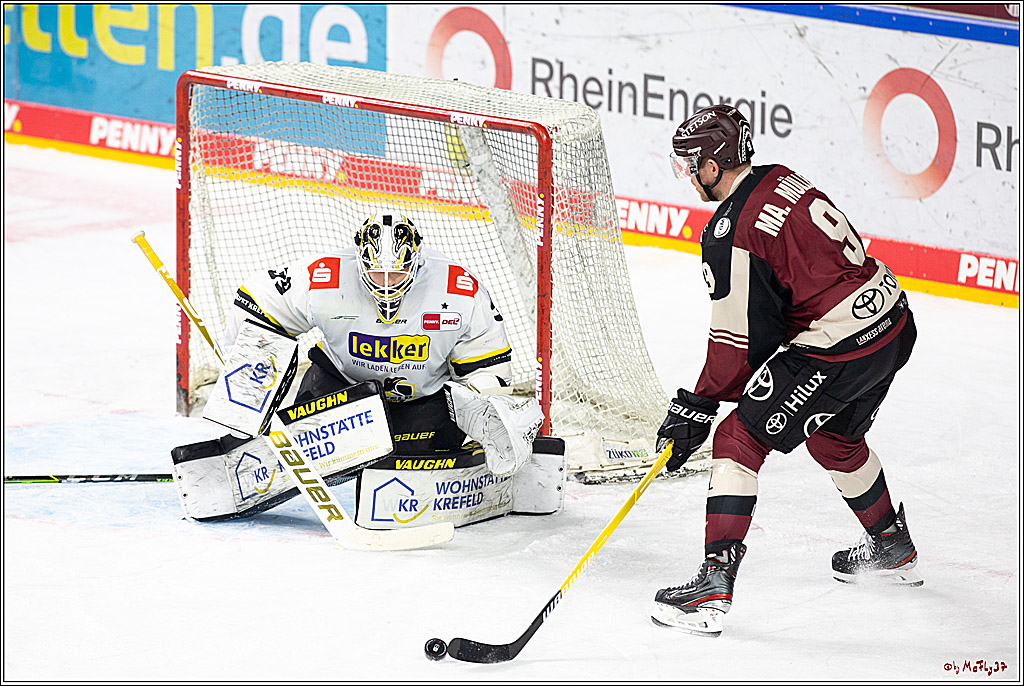 PENNY DEL;  Koelner Haie - Krefeld Pinguine; Koeln, 24.02.2021